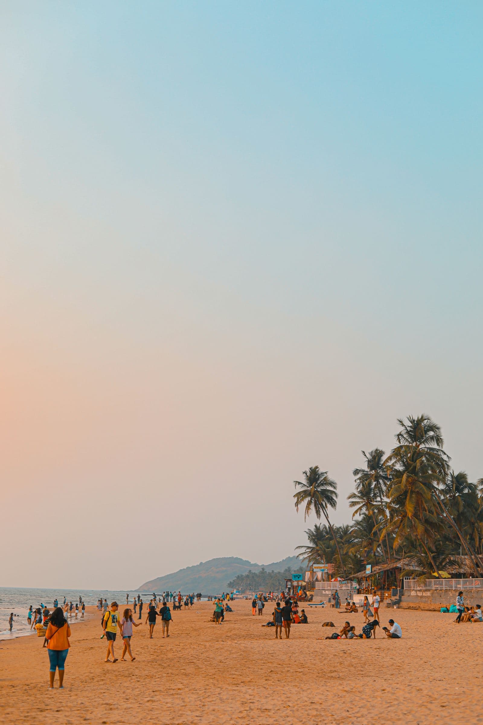 Tropical beach with palm trees in Goa