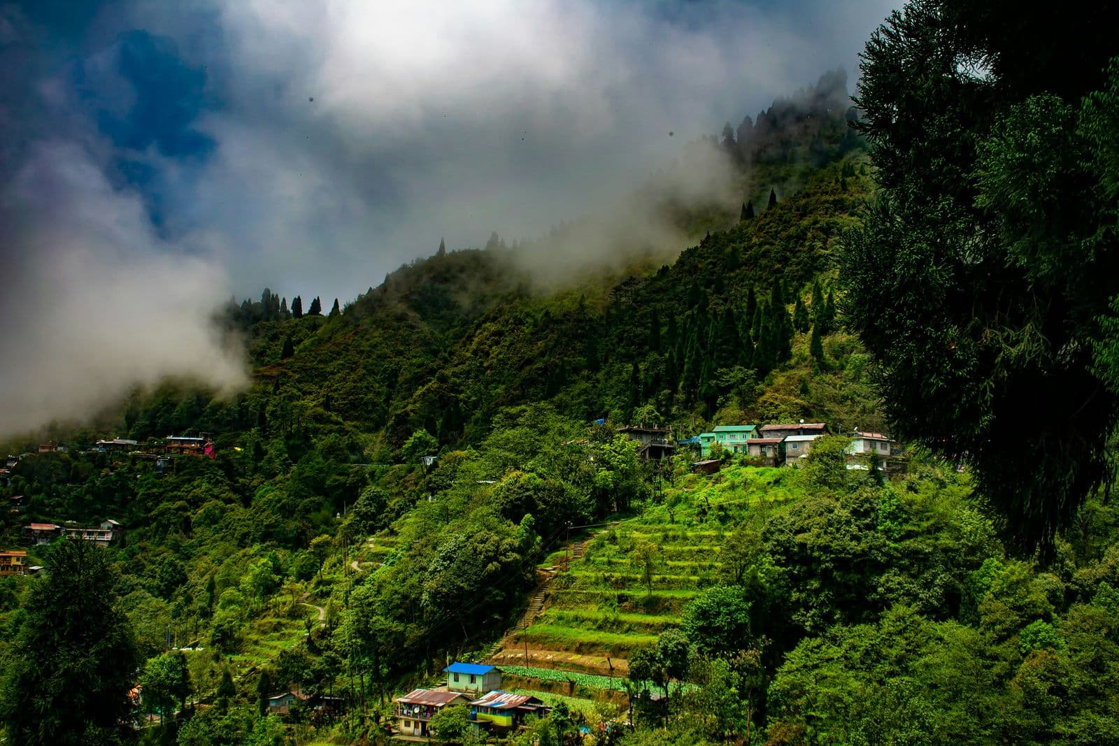 Darjeeling — gallery 1