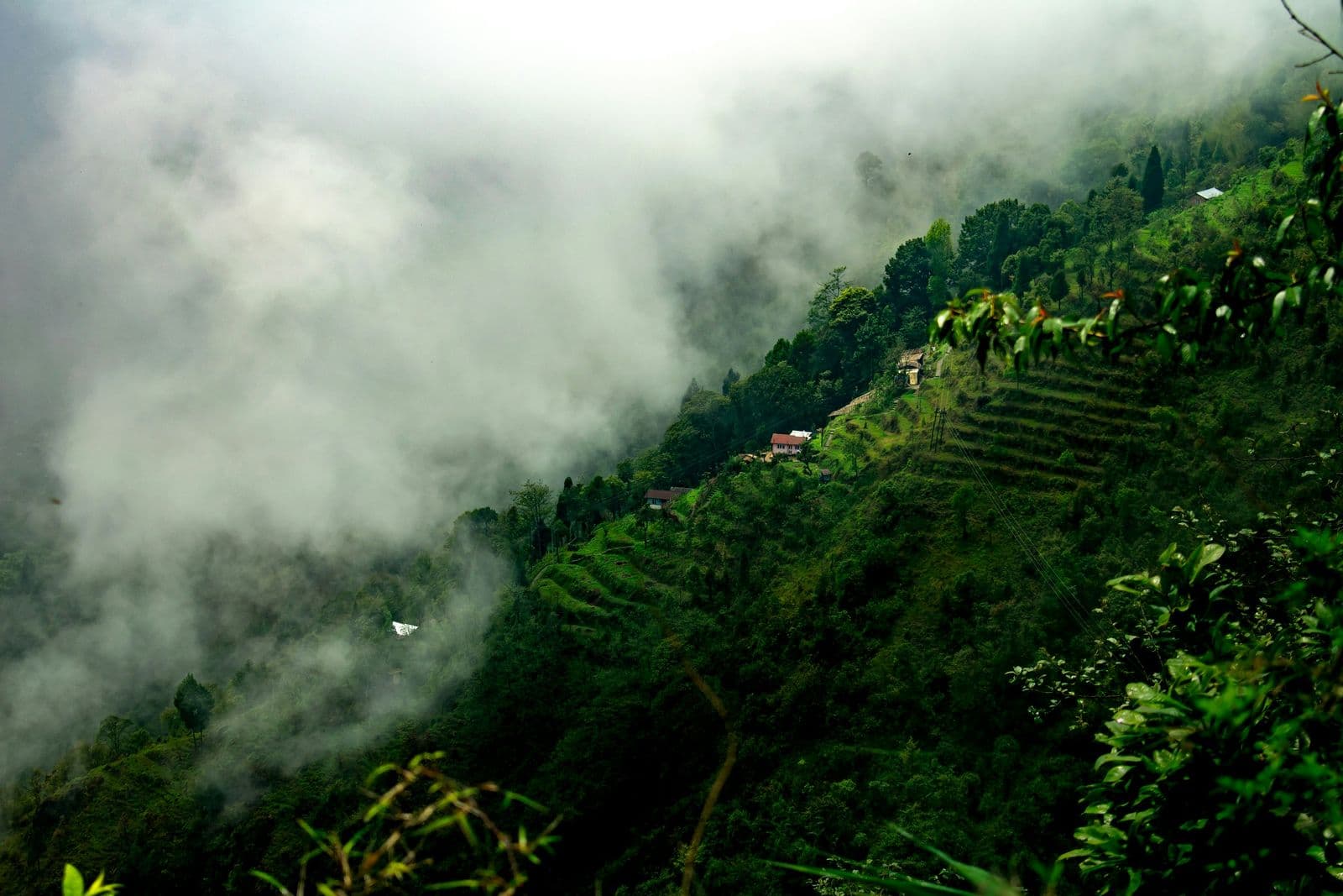 Darjeeling — gallery 4