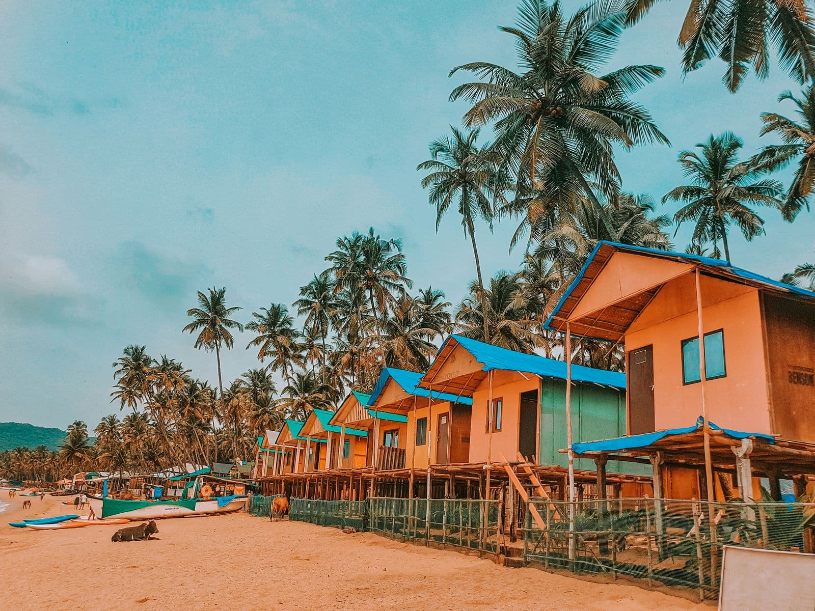 Goa — gallery 2