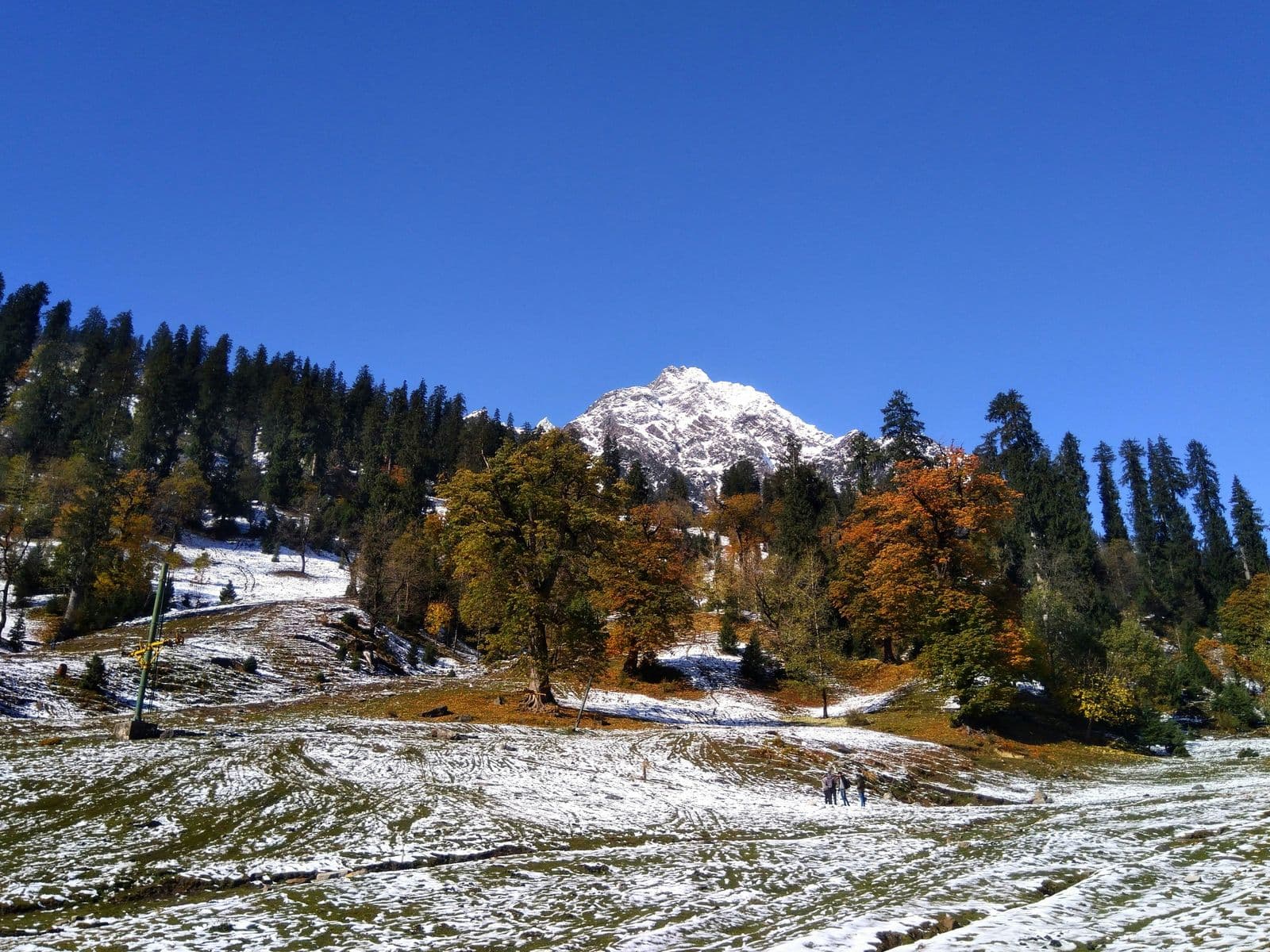 Hand-picked moments in Himachal Pradesh