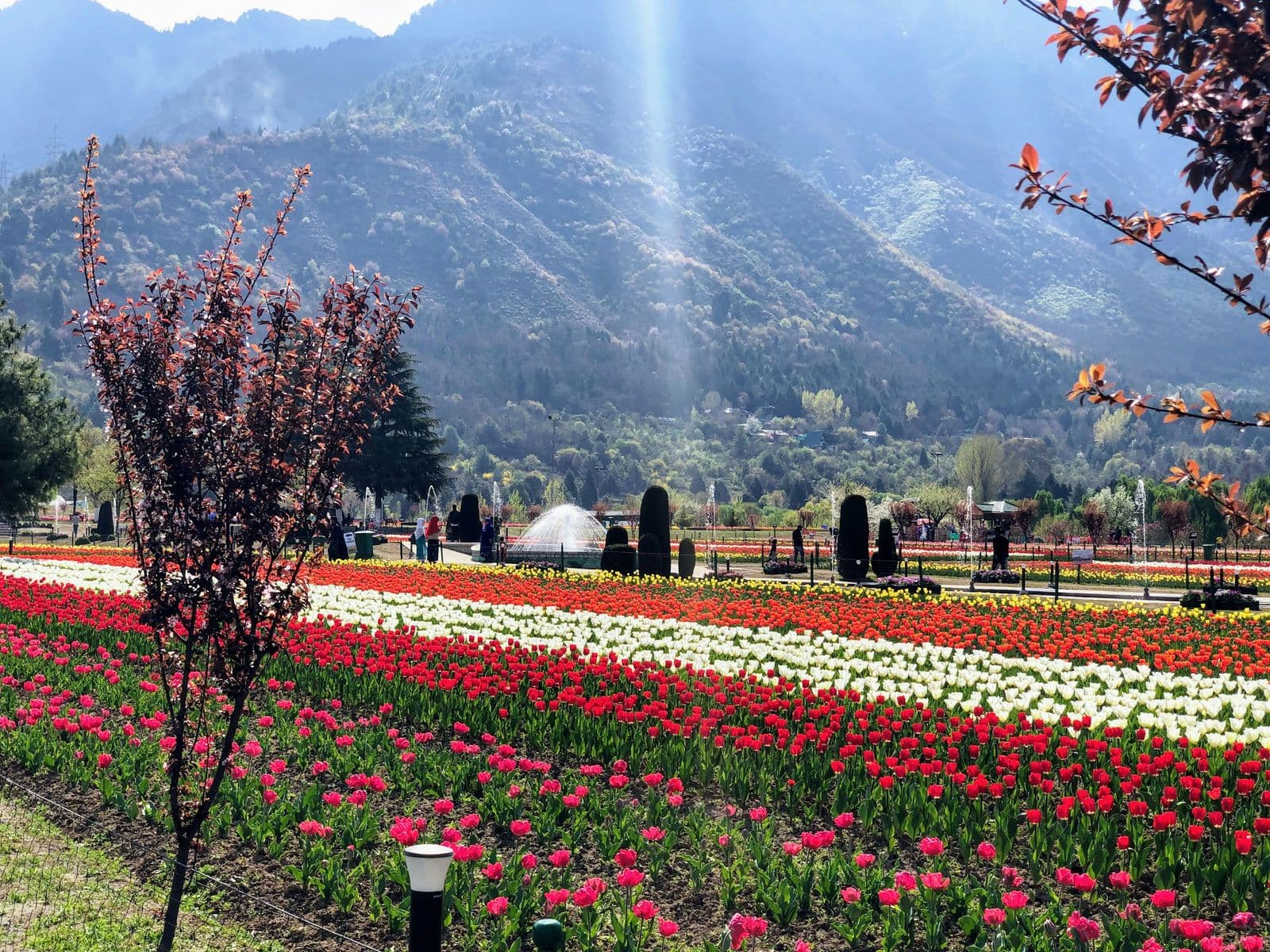 Kashmir — gallery 3
