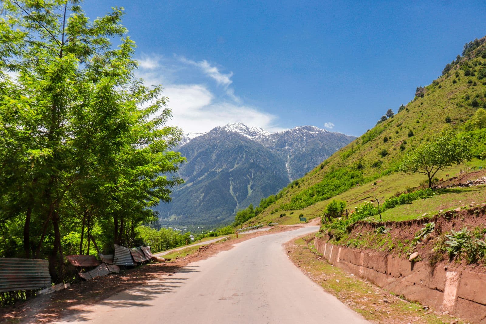 Kashmir — gallery 5