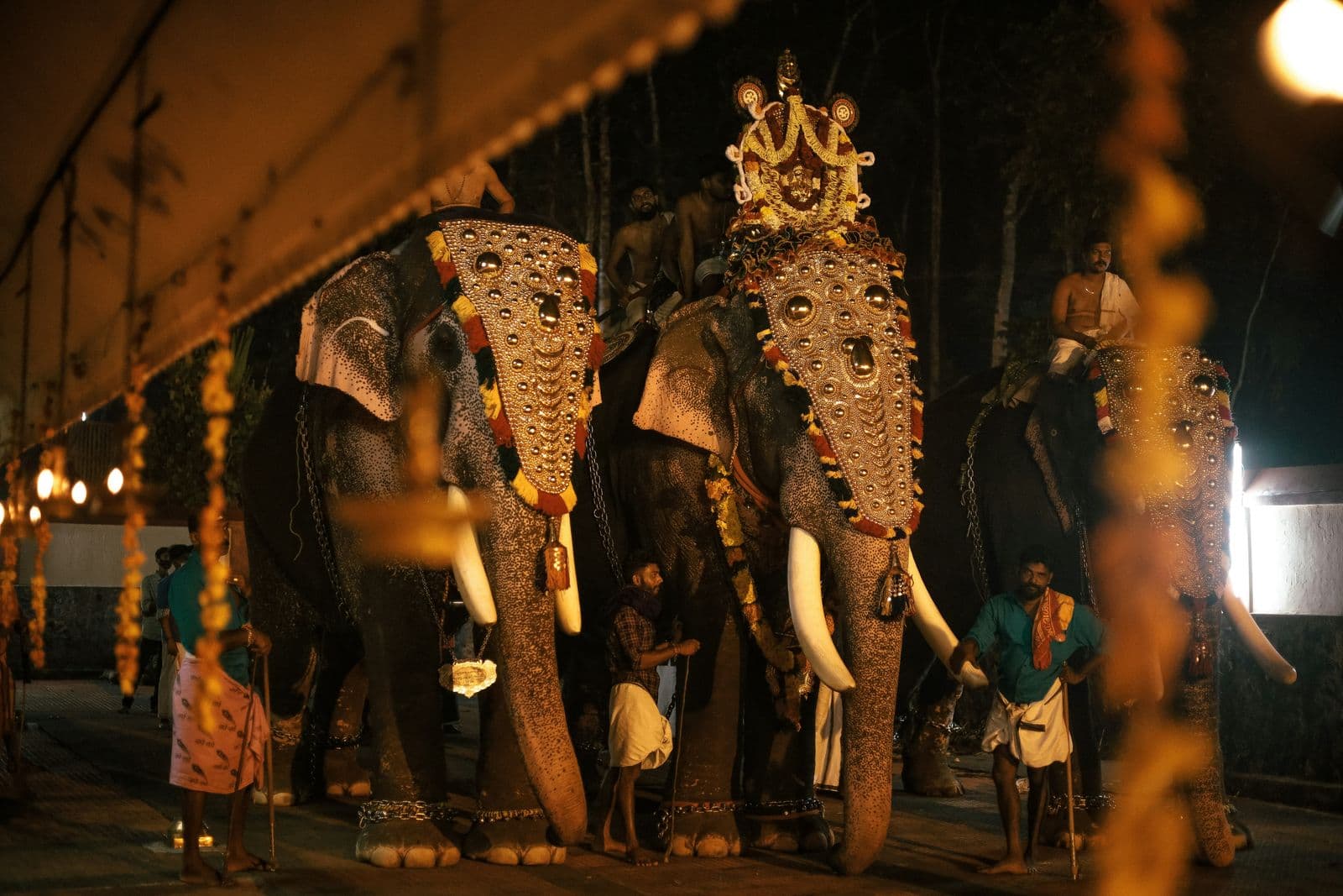Kerala — gallery 2