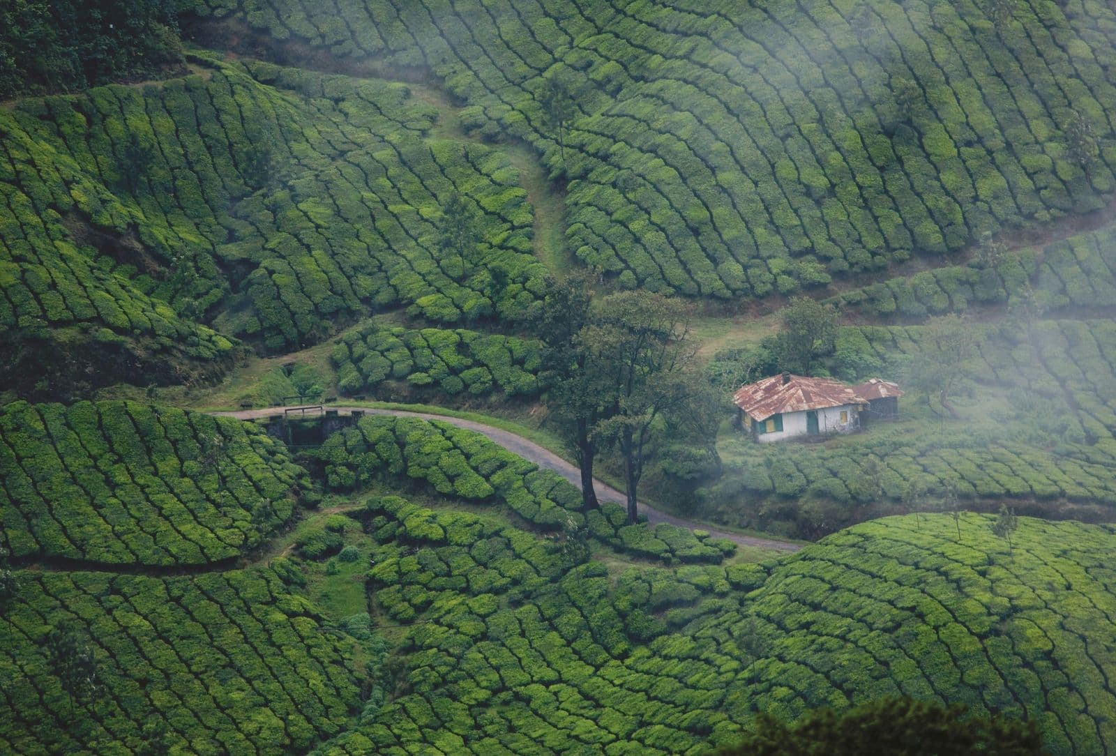 Kerala — gallery 3