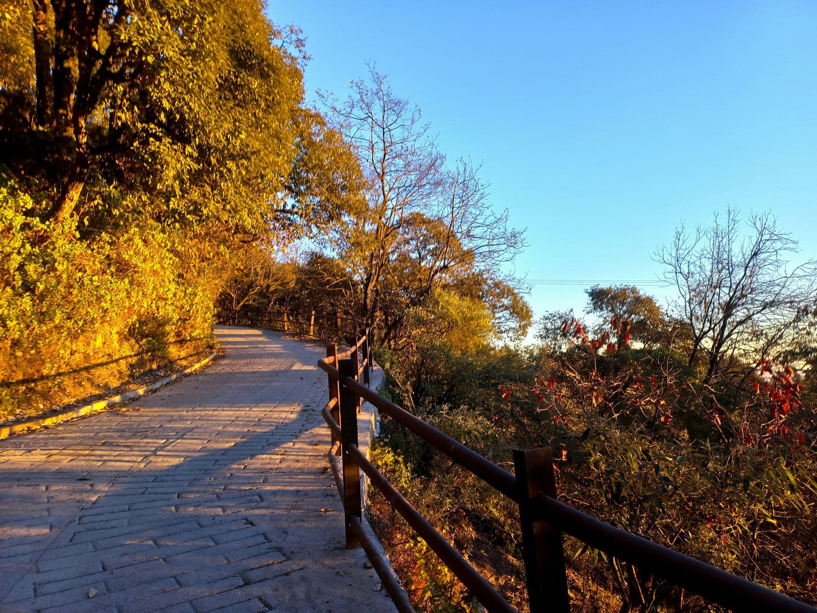 Mussoorie & Dhanaulti — gallery 3