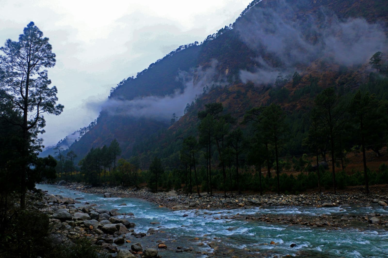 Mussoorie & Dhanaulti — gallery 5
