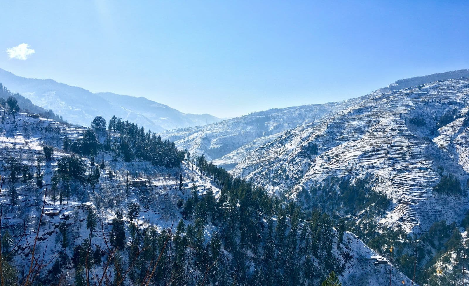 Shimla & Manali — gallery 3