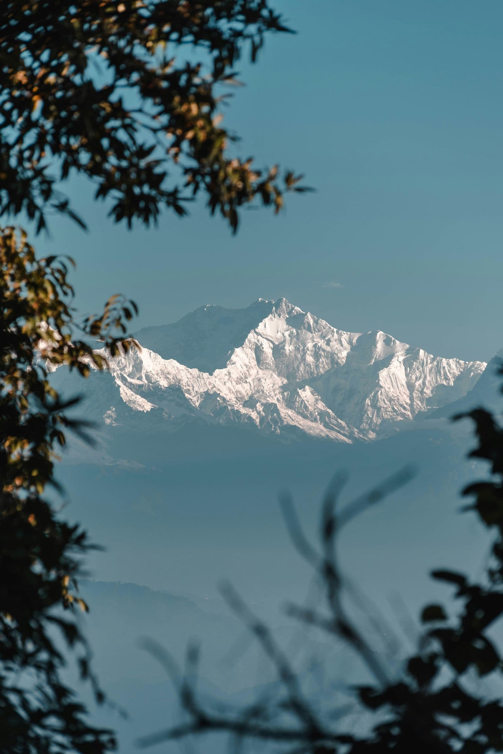 Tea gardens and mountain views in Darjeeling