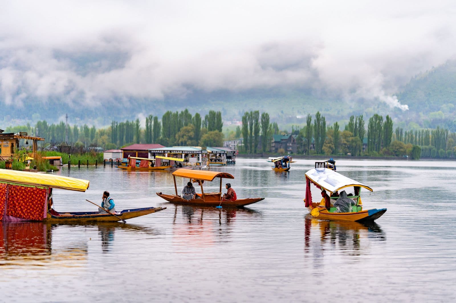 Dal Lake houseboat and Srinagar
