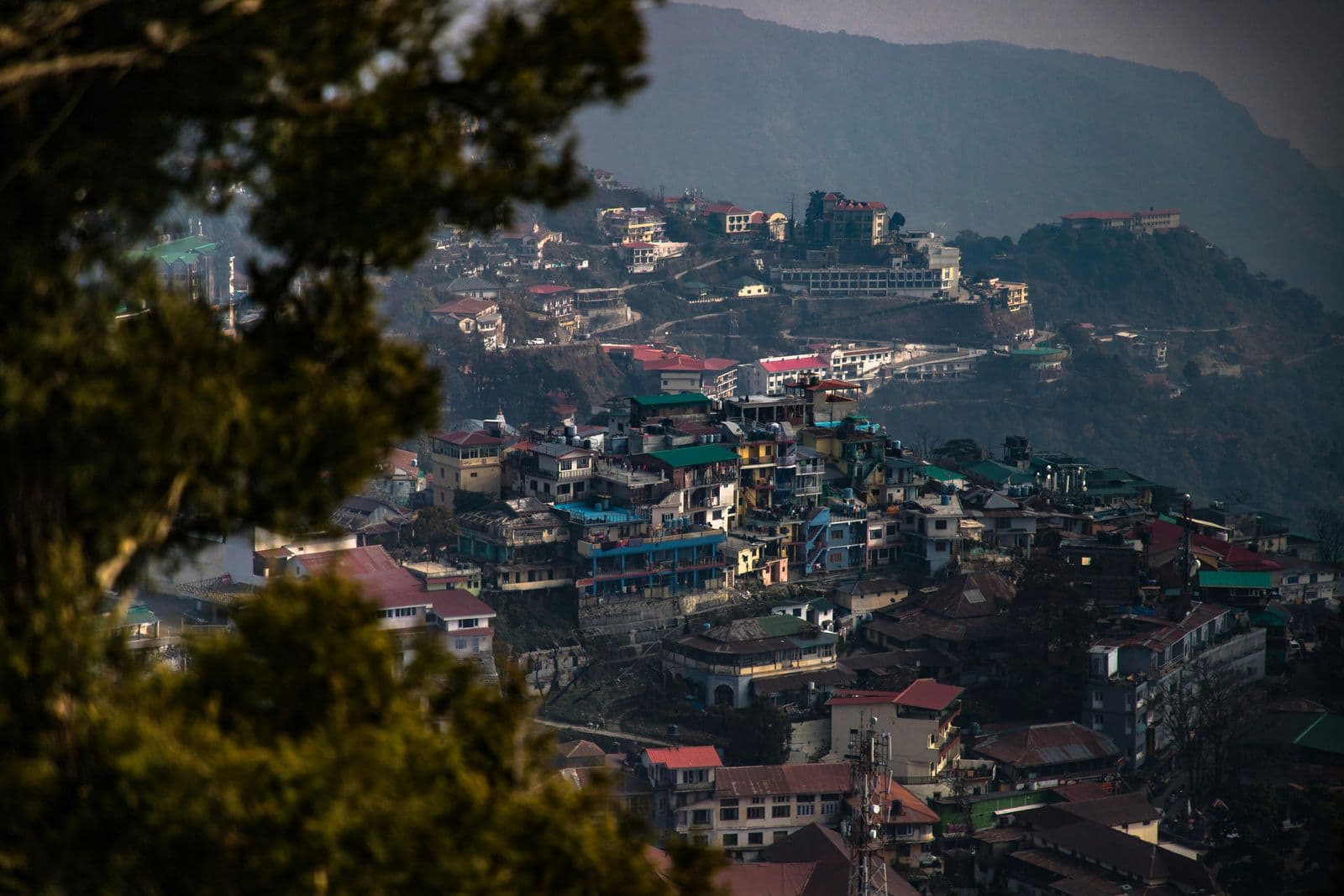 Dhanaulti eco parks and deodar forests