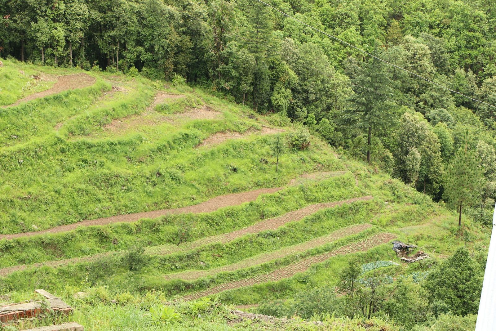 Ranikhet meadows and ridge walks