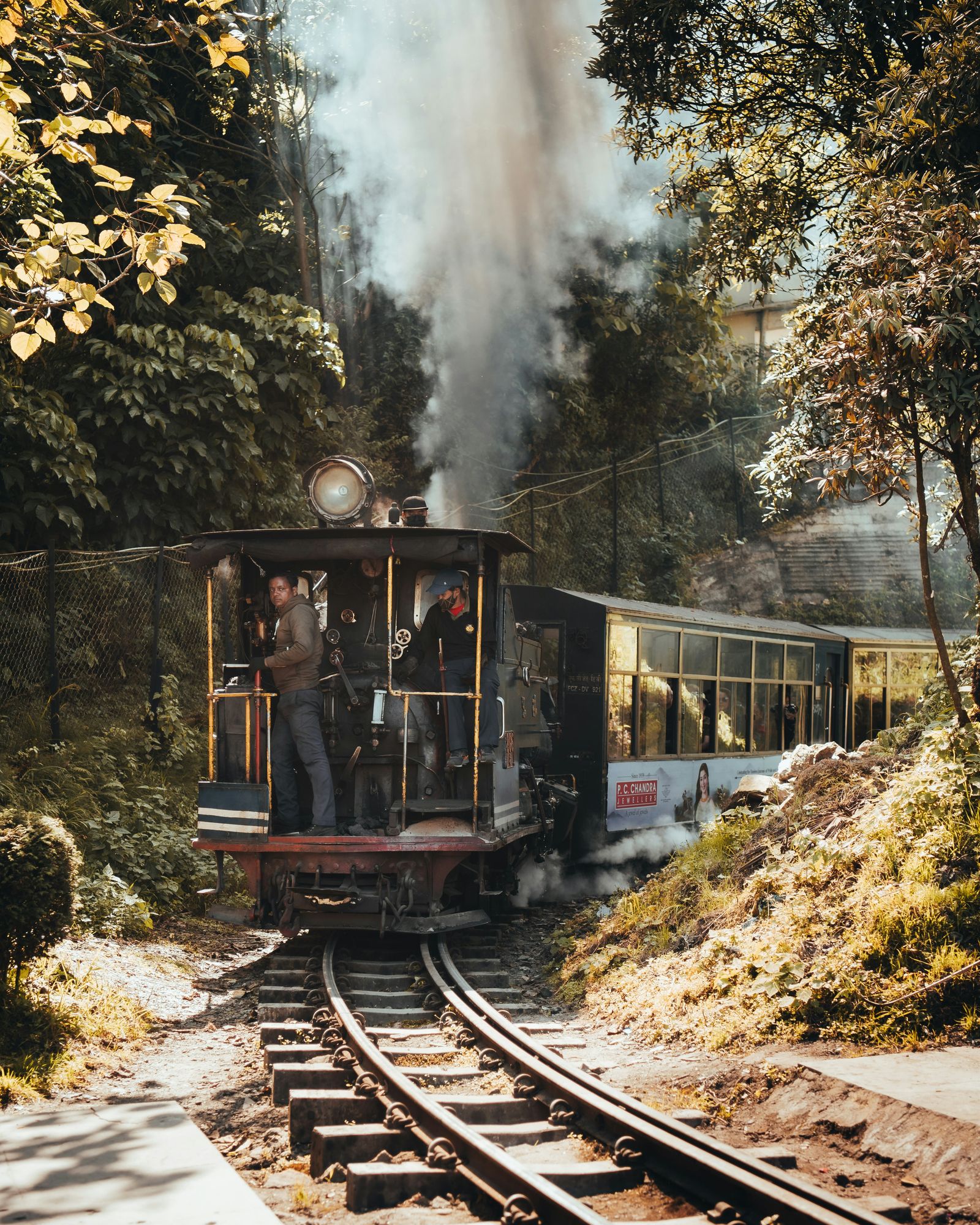 Scenic hills and tea gardens in Darjeeling