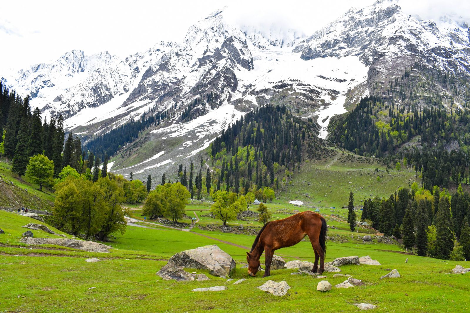 Misty mountain valleys in Kashmir